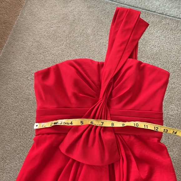 BCBG Max Azria Red Dress - Picture 10 of 12